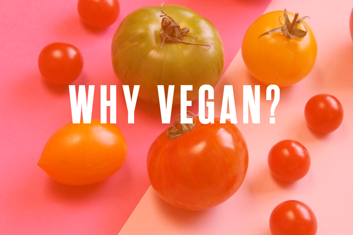 why vegan – Parusha Naidoo